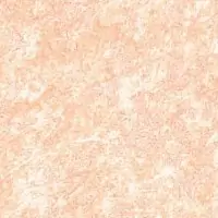 C1X