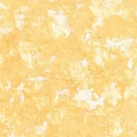 C1Y