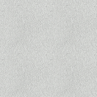 204G