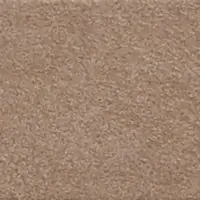 DS14019