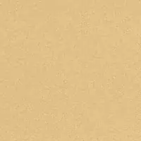 W2F 021