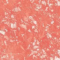 TUSC 5113 1