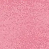 O3SE