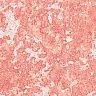 Декоративна штукатурка Spatula Stuhhi Opaco_109