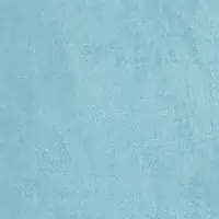 I4NS