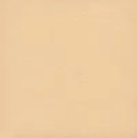 CF su Art. C1025
