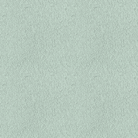 244E