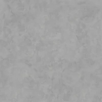 W2F 087