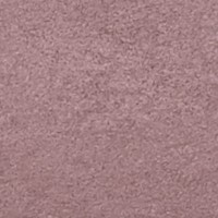 DS14036