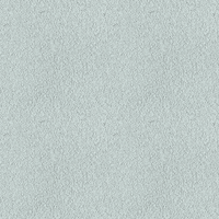 251E