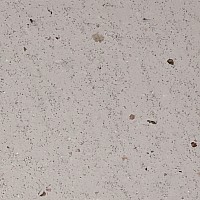 TDB 15680