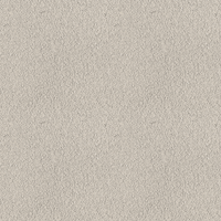 202E
