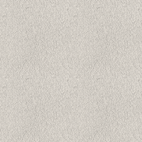 204E